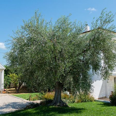 B&B Casale Savini Ortona Exterior foto